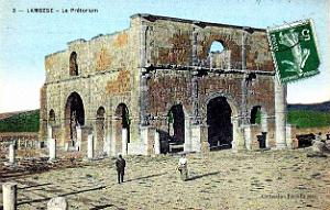 ALGERIE-RUINES ROMAINES DE LAMBESE (90)
